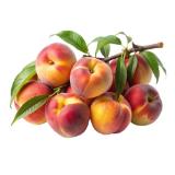 Pfirsiche Lidl 1 Kilogramm