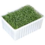BIO Kresse, Preisangabe ohne MwSt. (Preis inkl. MwSt. 1,09 €), METRO 100 Gramm 1 Packung