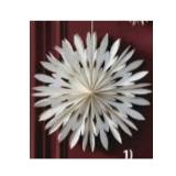 Weihnachtsstern SKRYMSLI 6112250 JYSK 1 Stück