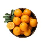 Bio Orangen Lidl 1 Kilogramm