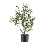 mömax Dekobaum „OLIVENBAUM“ 42970002 mömax 1 Stück