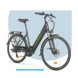 Doc Green E-Citybike 28" HOFER 1 Stück