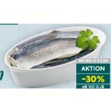 Feine Bismarkheringe BILLA PLUS 100 Gramm