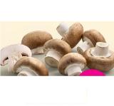 Bio-Champignons Denns BioMarkt 100 Gramm