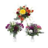 Blumenstrauss Weltfrauentag Premium HOFER 1 Bund 1 Bund