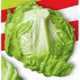 Zurück zum Ursprung Bio-Eisbergsalat aus Österreich HOFER 1 Stück