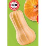 Zurück zum Ursprung Bio-Kürbis aus Österreich HOFER 1 Kilogramm