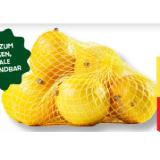 Jeden Tag M BIO Zitronen MPREIS 500 Gramm 1 Netz