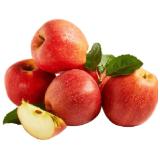 Bio Mini Äpfel aus Österreich Lidl 600 Gramm