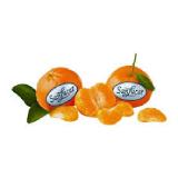 SanLucar Clementinen gelegt BILLA PLUS 1 Kilogramm