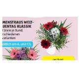 Blumenstraus Welt - Frauentag Klassik verschiedenen Farbvarianten HOFER 1 Stück