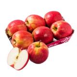Promotion Bild von Äpfel „Pink Lady“ Penny 800 Gramm 1 Packung