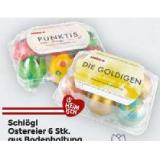 Schlögl Ostereier 6 Stk. aus Bodenhaltung div. Sorten BILLA PLUS 1 Packung
