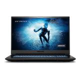 Promotion Bild von MEDION ERAZER Core Gaming Notebook Defender P15 (MD64095) HOFER 1 Stück