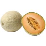 Bild von Zuckermelone MPREIS 1 Stück