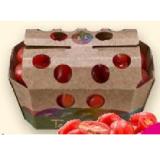 Bio-Romacherry-Tomaten Denns BioMarkt 250 Gramm 1 Packung