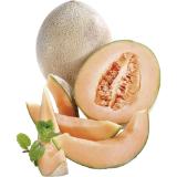 Cantaloupe-Melone, Preisangabe ohne MwSt. (Preis inkl. MwSt. 2,96 €), METRO 1 Stück