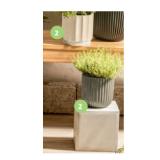 Belavi Pflanzgefäss Wellenoptik HOFER 1 Stück