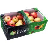 Äpfel Gala, Preisangabe ohne MwSt. (Preis inkl. MwSt. 1,64 €), METRO 1 Kilogramm