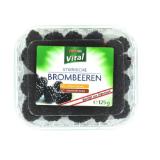 SPAR Vital Heidelbeeren SPAR 125 Gramm 1 Packung