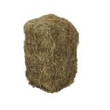 Dehner Lieblinge Wiesenheuballen Dehner 10 Kilogramm 1 Packung