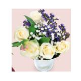 Fairtrade Petit Bouquet HOFER 10 Stück