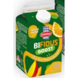 Schärdinger Bifidus Drink div. Sorten BILLA PLUS 500 Milliliter 1 Packung