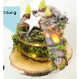 bepflanztes Gefäß 102192 HELLWEG 1 Stück