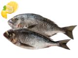 Promotion Bild von Cromaris Frische Dorade Lidl 720 Gramm