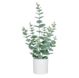 mömax Kunstpflanze „EUKALYPTUS“ 4297345301 mömax 1 Stück