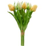 mömax Tulpe „TULPENBUND“ 4297361001 mömax 1 Bund