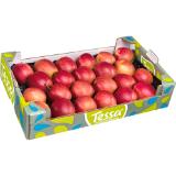 Äpfel Tessa, Preisangabe ohne MwSt. (Preis inkl. MwSt. 2,19 €), METRO 1 Kilogramm