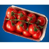 Cocktailstrauchtomaten aus Österreich Lidl APP Preis 500 Gramm