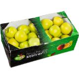 Äpfel Henkelkarton Gala oder Golden Delicious, Preisangabe ohne MwSt. (Preis inkl. MwSt. 1,75 €), METRO 1 Kilogramm