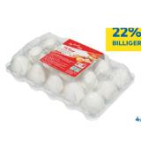 My Price Eier T&G 15 Stück