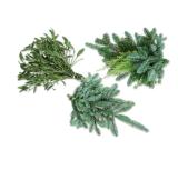 Mistel-, Tannenzweige oder Grünmix Lidl 1 Stück