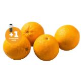 Echt Bio Orangen Penny 1 Kilogramm 1 Netz