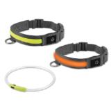 zoofari LED-Hundehalsband/Leuchtband Lidl 1 Stück