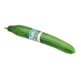 Bild von Spar Natur pur Bio-Gurke INTERSPAR 1 Stück