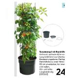 Tomatentopf mit Rankhilfe 650263 HELLWEG 1 Set