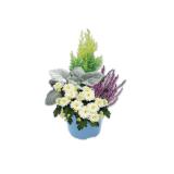 Herbstarrangement Lidl 1 Stück