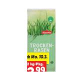 Grandiol Trockenrasen Lidl 2 Kilogramm 1 Packung