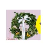 Frühlingskränze Buchskranz HOFER 1 Stück