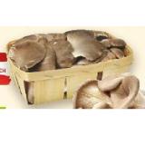 Bioland Bio-Austernpilze Denns BioMarkt 150 Gramm 1 Packung
