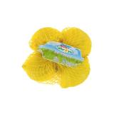 Spar Natur pur saftige Bio-Zitrone EUROSPAR 4 Stück