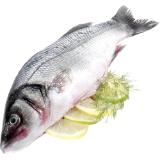 Promotion Bild von Cromaris BIO Wolfsbarsch, Preisangabe ohne MwSt. (Preis inkl. MwSt. 16,49 €), METRO 1 Kilogramm