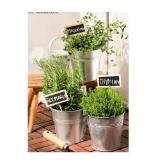 Italienische Kräuter versch. Sorten HOFER 1 Stück