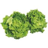 Promotion Bild von Häuptelsalat  Unimarkt 1 Stück