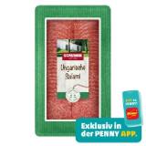 Stastnik Ungarische Salami Penny 100 Gramm 1 Packung