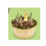 Oster-Arrangement Zinkschale HOFER 1 Stück